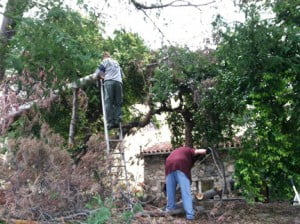 Photos by Mary Okeefe