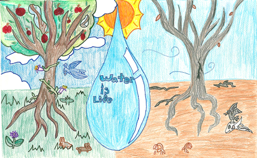 Rachel Lee from Lincoln Elementary received an honorable mention.