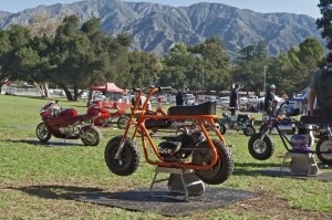 Photos provided by Joe SEBERGANDIO