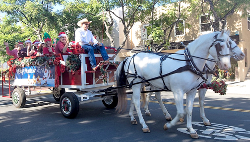 montrose-christmas-experience