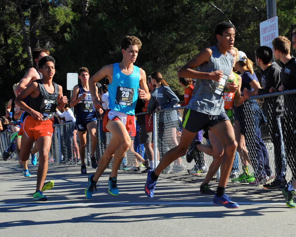 no-1-alternate-dsc_1998a-8-x-10