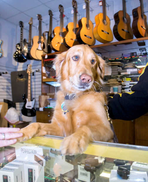 hastings-graysons-tune-town