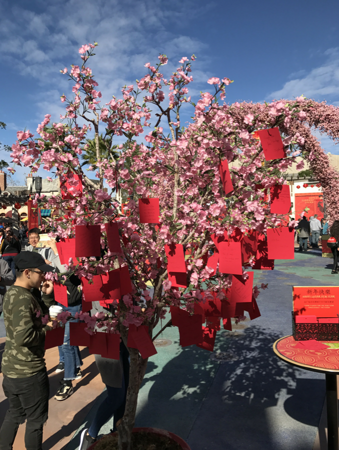 Blossoming cherry trees in the courtyard are adorned with slips of paper holding the wishes for the New Year.