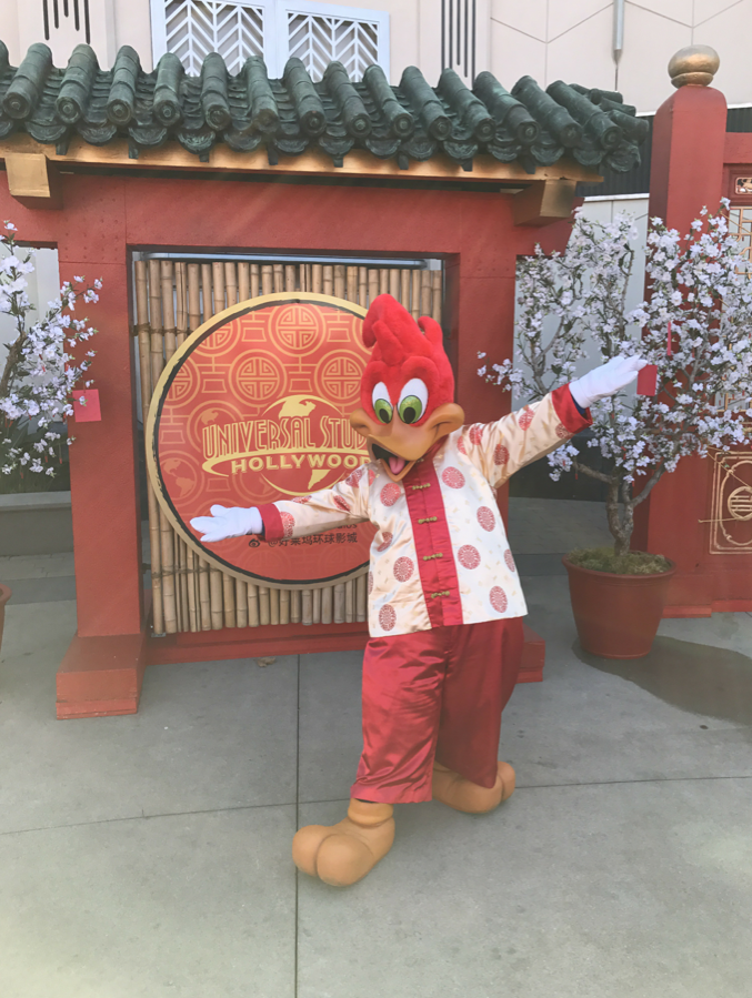 Screen shot 2017-01-25 at 10.05.21 PM