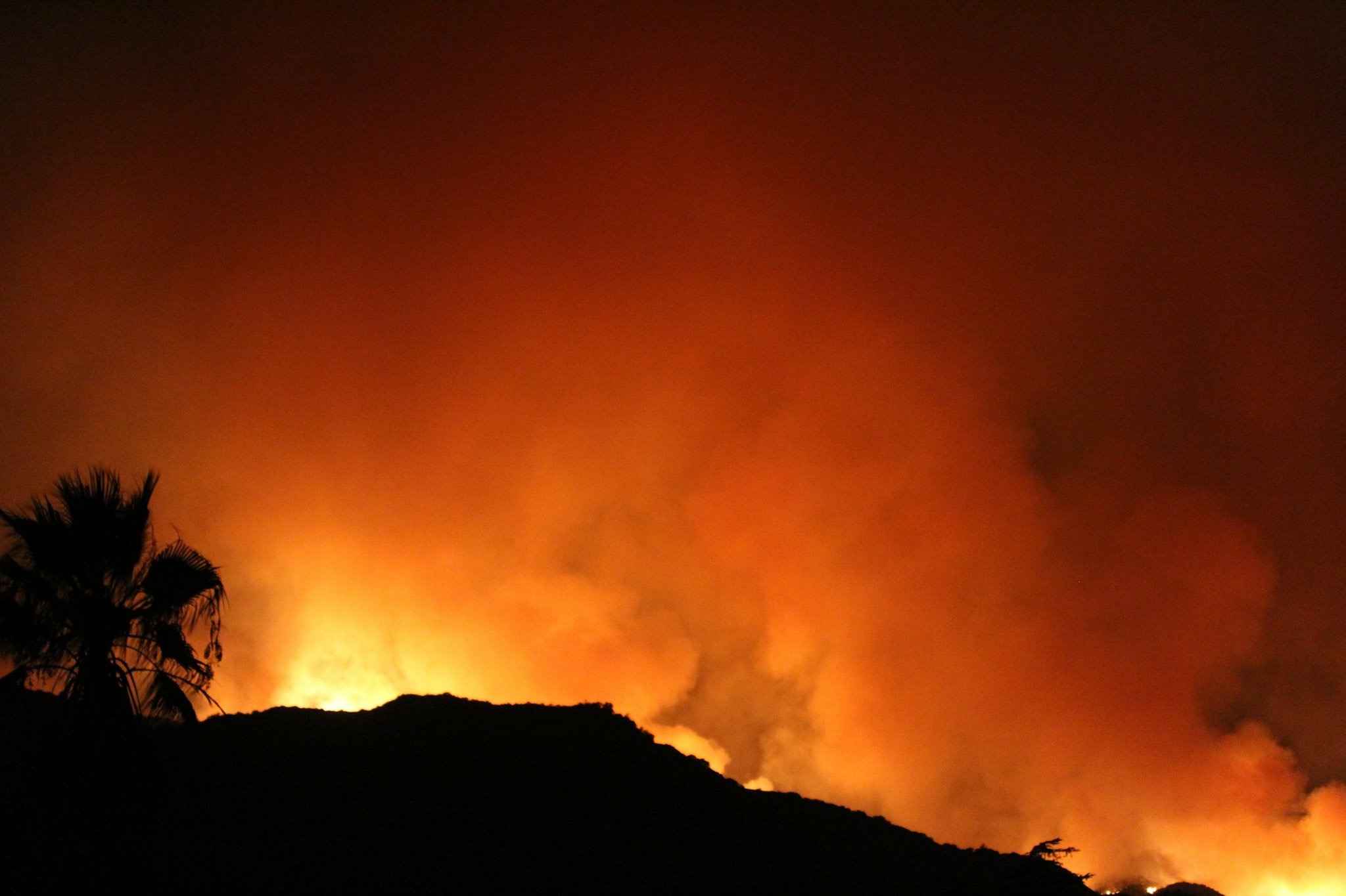 Photo contributed by Brandy YI