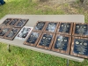 AFD-plaques