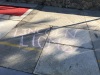 Lincoln-Lions-were-greeted-with-a-red-carpet-and-sidewalk-messages
