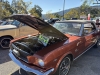 NO-1-IMG_7495