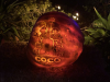 PUMPKINS-Coco
