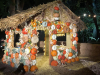 PUMPKINS-house