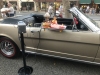 CRUISE-NIGHT-2