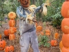 HALLOWEEN--DESCANSO
