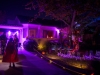 HALLOWEEN-DSC03784