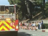 MOTORCADE-43