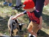 MSAR-A-petting-zoo-was-a-popular-spot