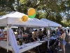 MSAR-People-visited-the-information-booths-that-dotted-the-park-during-the-MSAR-celebration
