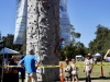 MSAR-climbing-wall