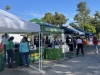 NNO-IMG_5616