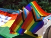 PRIDE-P1012127