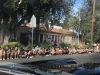 Motorcade-image00053