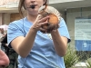 WRAP-An-armadillo-drew-ahhhs-from-the-crowd-at-the-Kids-and-Kritters-event