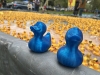 WRAP-Blue-mascots-at-the-duck-splash