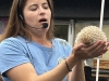 WRAP-NO-11-Alissa-Lachance-shows-the-audience-a-hedgehog