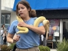 WRAP-NO-2-A-yellow-boa-constrictor-named-Peaches-was-tame-promised-Alissa-Lachance-at-the-Kids-and-Kritters-event