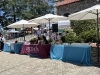 WRAP-NO-8-Bright-sunshine-lit-the-courtyard-where-the-Wellness-Fair-was-held