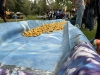 WRAP-Propelled-by-water-in-the-lake-provided-by-the-Glendale-Fire-Dept-firefighters-the-ducks-make-their-way-down