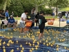 WRAP-The-Golden-Retrievers-collect-ducks-at-the-bottom-of-the-lake