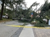 WINDS-IMG_1268