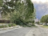 WINDS-IMG_1271