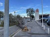 WINDS-IMG_1278