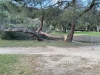 WINDS-IMG_1282