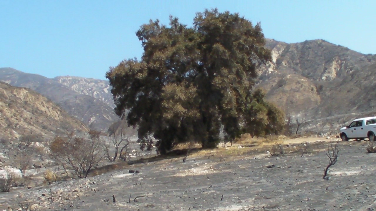 Deukmejian Wilderness Park