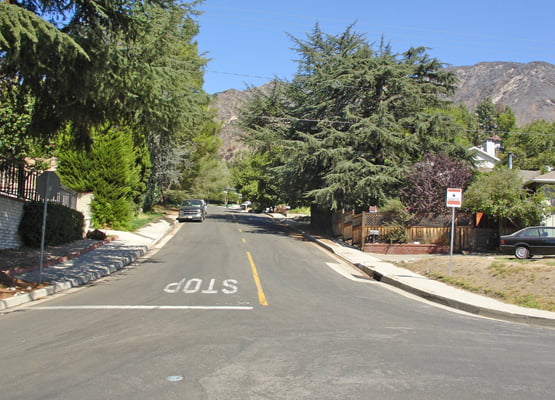 pineconenow pineconenow