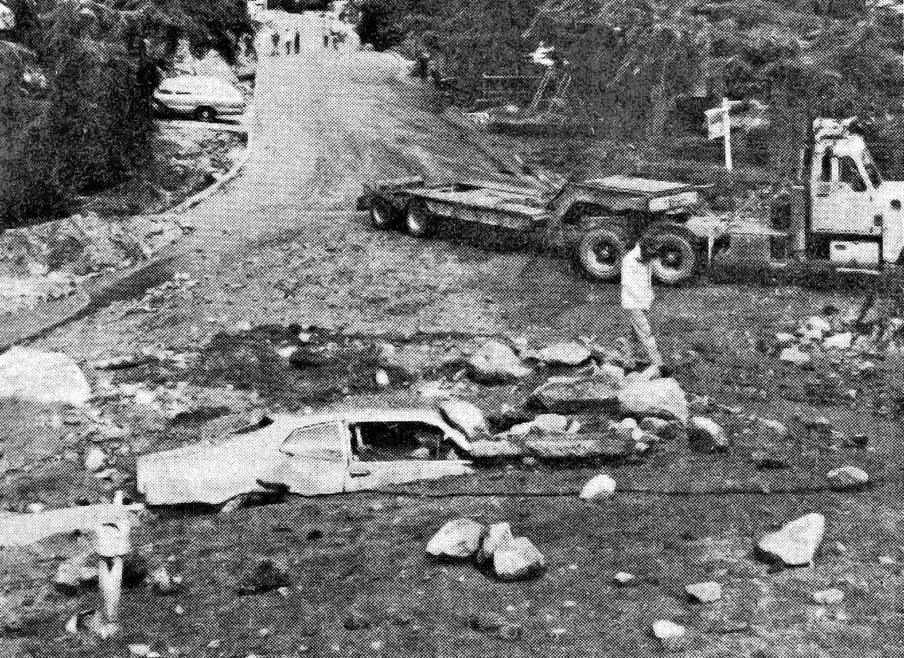 pineconethen pineconethen