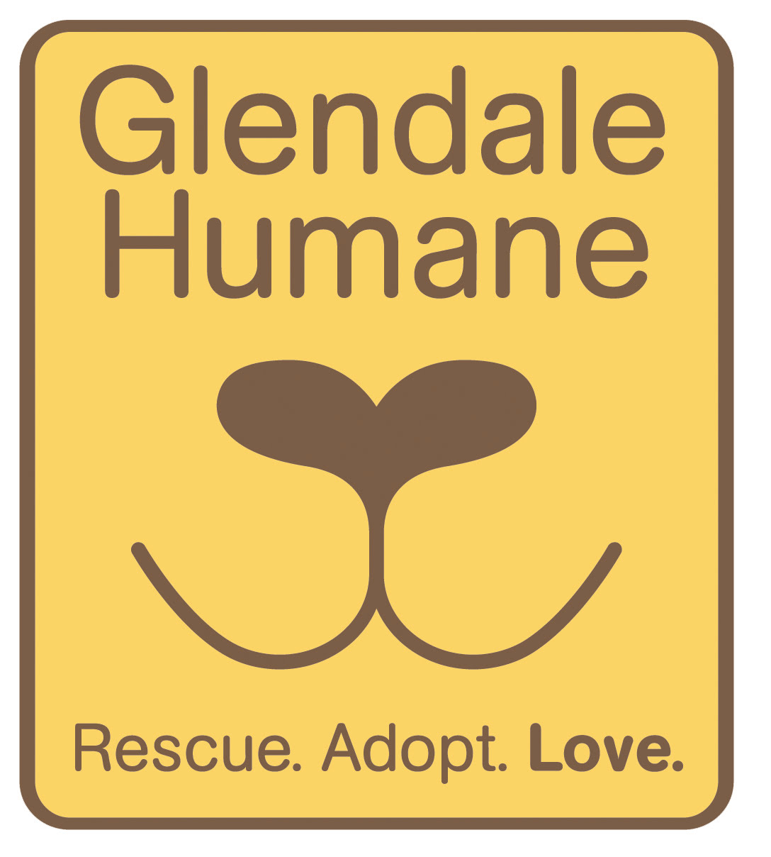 The hoops to jump through for a pet pay off with a welcome addition to the family