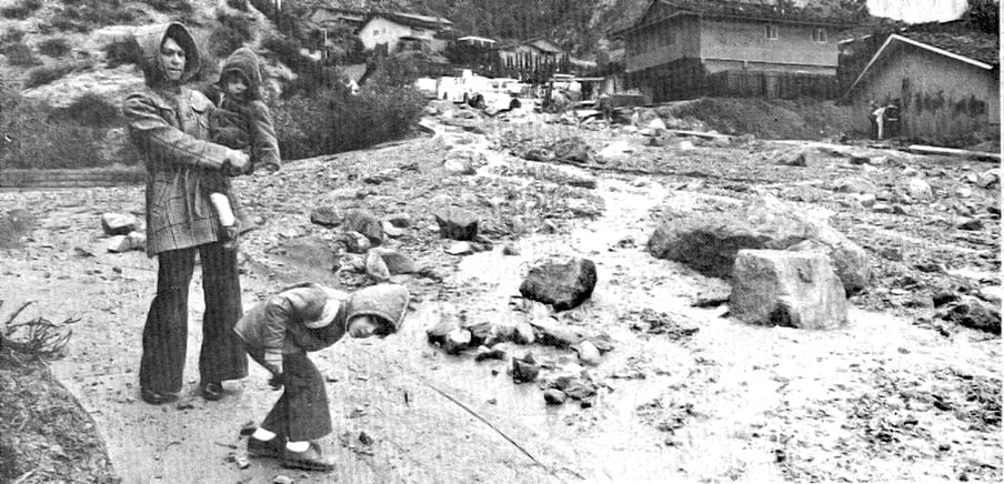 Then & Now | Pinecone and Pinelawn