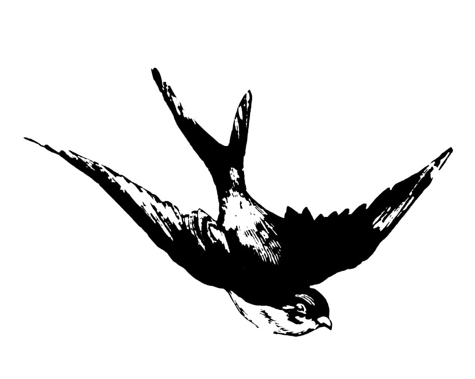 Week in Review 11-19-09