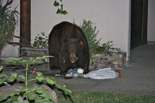 Photos courtesy of the MacDonald Family Photos courtesy of the MacDonald Family