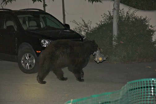 Photos courtesy of the MacDonald Family Photos courtesy of the MacDonald Family