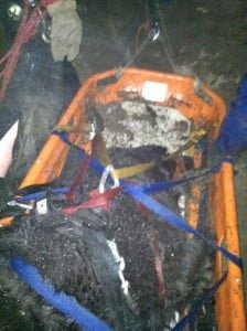                                  Photos by Doug CRAMOLINE It took over 20 search and rescue members to bring Sunny back to his family  Saturday night.