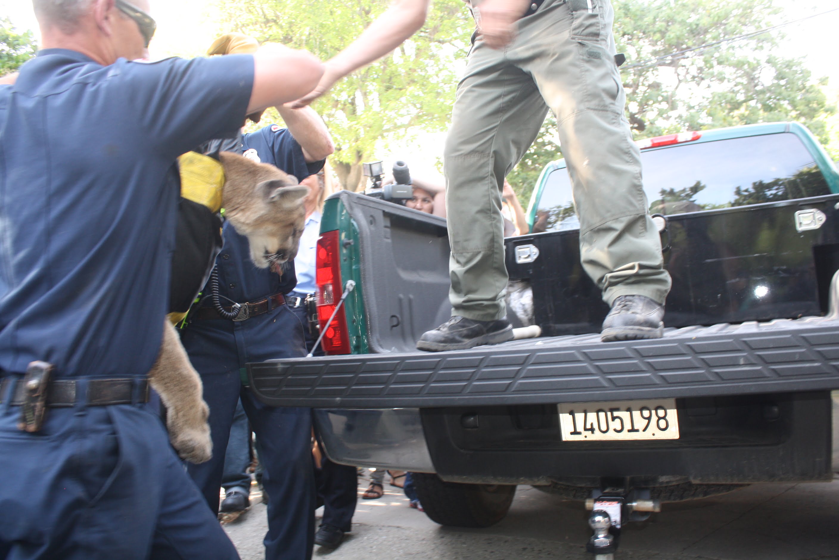 UPDATE: Mountain Lion