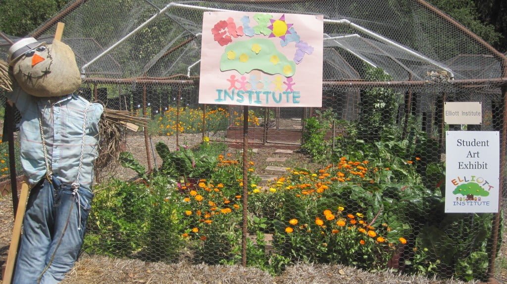 CV WEEKLY Elliott choice 2