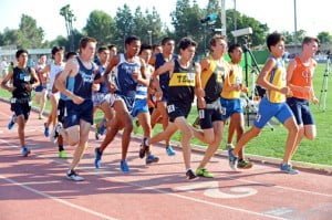 Gabe Collison placed fifth in Division 1 finals with a time of 9:23.16.