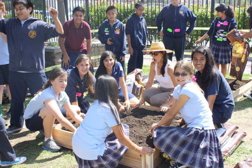 Garden Planted at Incarnation