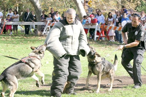 K-9s and KIDS at Verdugo Park K-9s and KIDS at Verdugo Park
