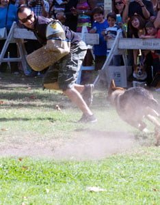 Ducks, Dogs Claim Verdugo Park